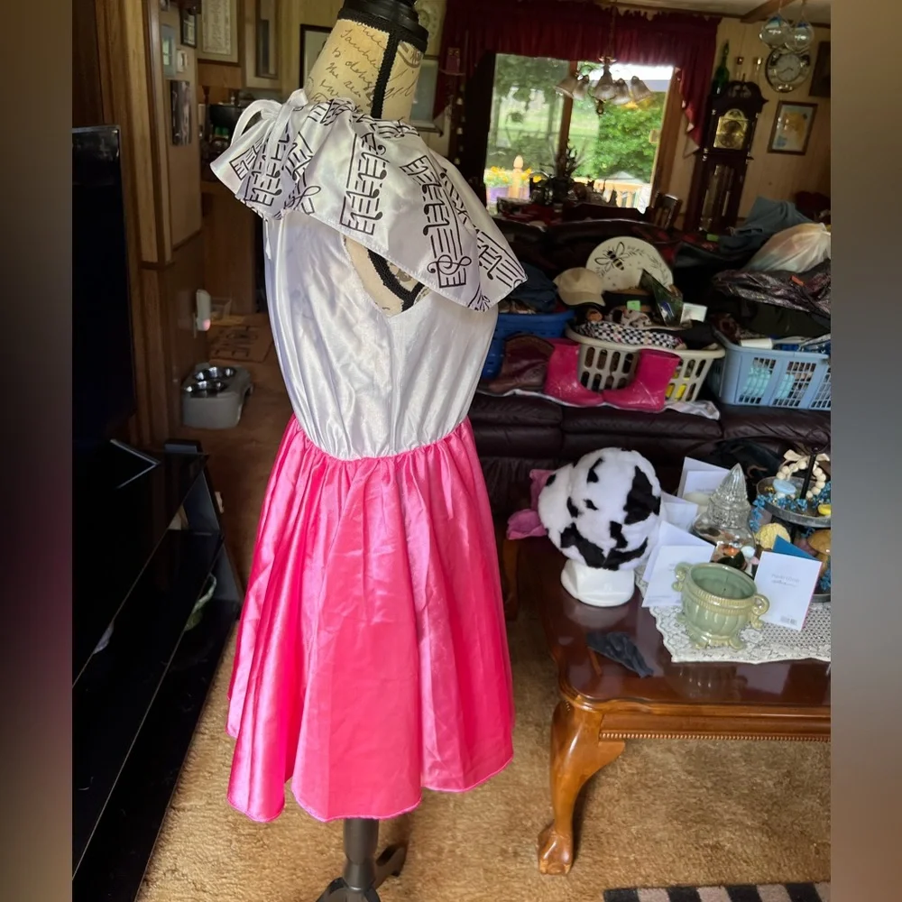 🐩Rubie’s vintage 1950s Poodle Halloween Costume Dress Girls Large 12-14.🐩